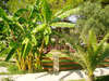 Mediterranee Hotel 